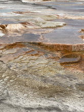 Load image into Gallery viewer, Thermophile Triptych