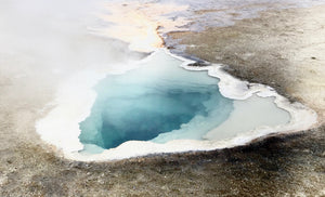 Heart Spring