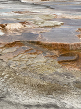 Load image into Gallery viewer, Thermophile Triptych
