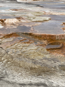 Thermophile Triptych