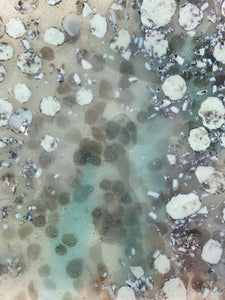 Rocky River Bottom Plate