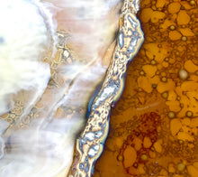 Load image into Gallery viewer, Living Colors #2
